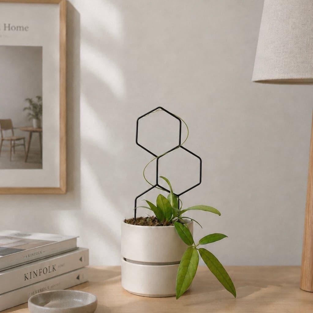 コンクリート壁の棚に飾った PLANTS POLE（ブラック）と蔓性の観葉植物。六角形の影が壁に映るインテリアグリーンの実例