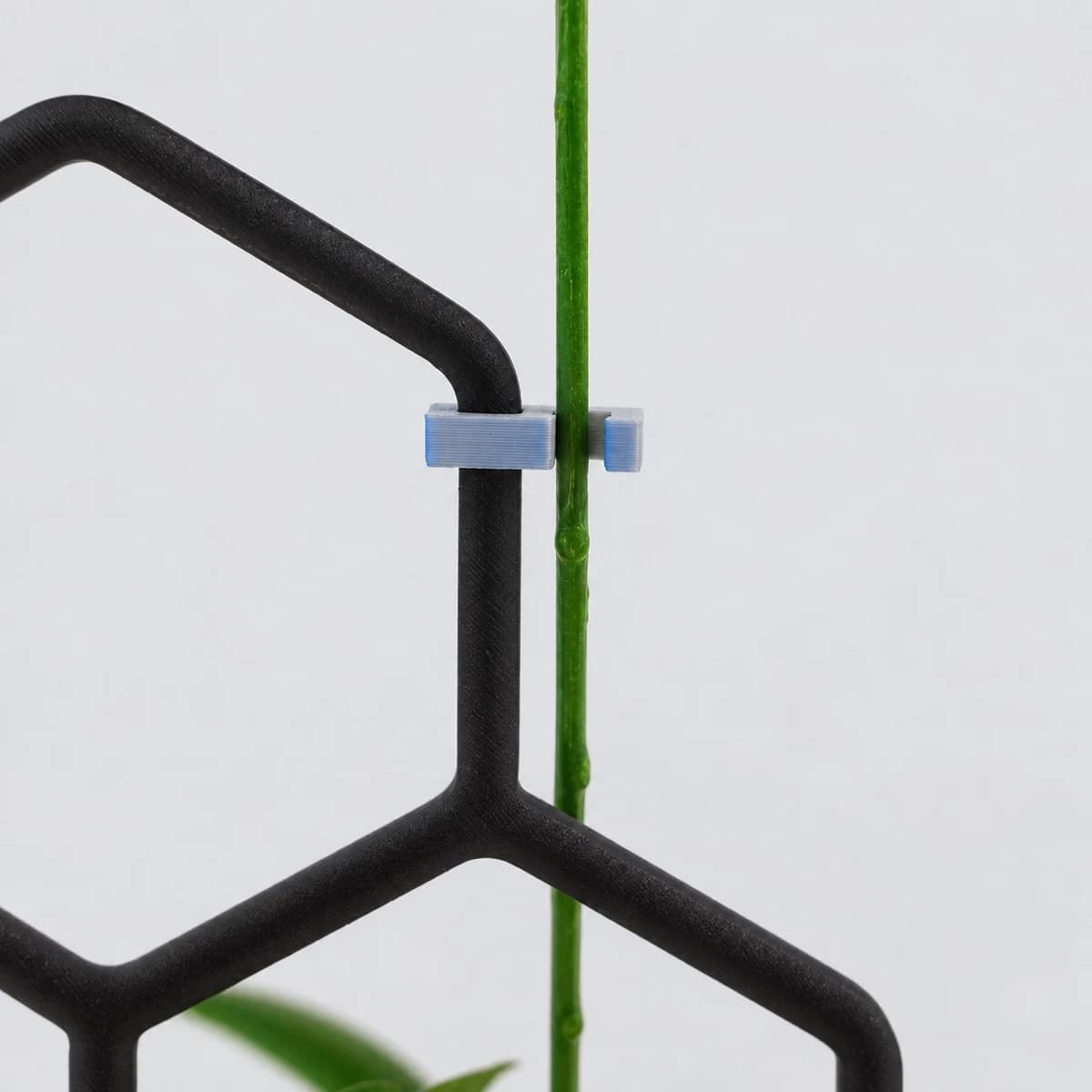 PLANTS POLE 拡張パーツ 六角形＋留め具 樹脂版 - 辺同士をつないで伸ばせる -（ブラック）