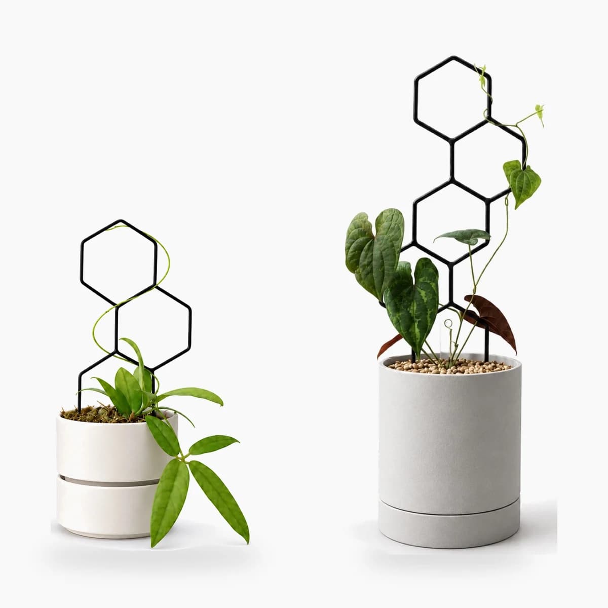 PLANTS POLE 2本セット「3つの六角形」22cm+「5つの六角形」39cm(カラー選択・1配送)