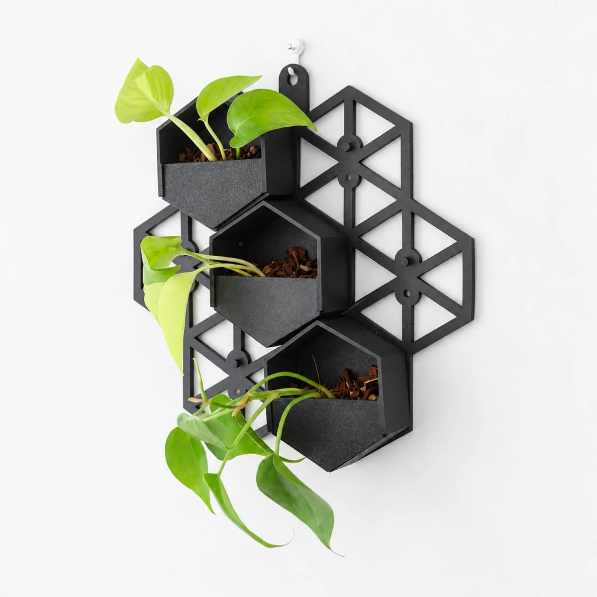 PLANTS POLE 壁掛け六角鉢3個+壁掛けプレートセット - 壁面緑化 3Dプリント -