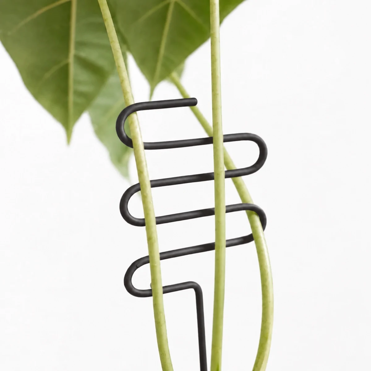 PLANTS POLE ”うねうね” -横に広がる植物を矯正できる支柱-