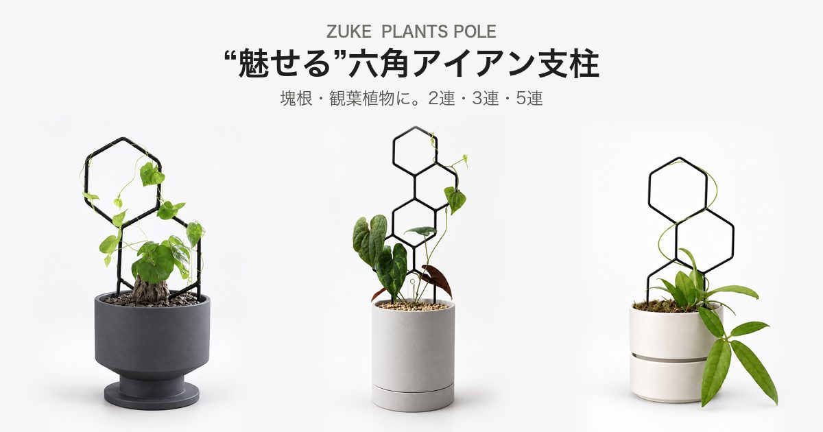 おしゃれな観葉植物の支柱｜六角形の園芸支柱 一覧｜ZUKE