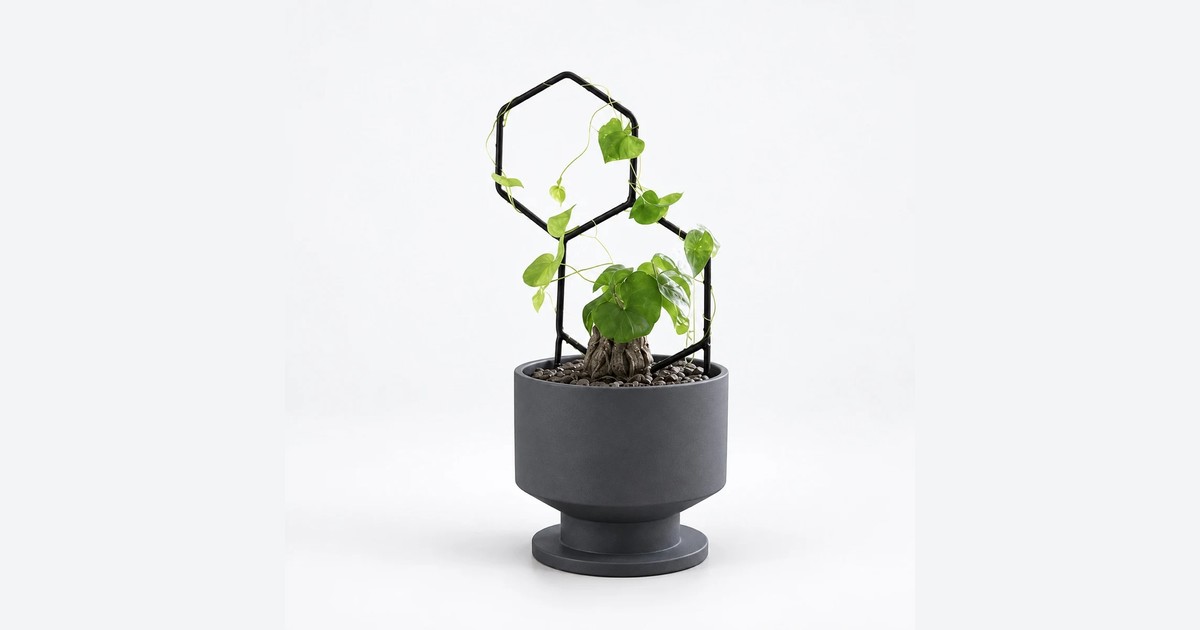 PLANTS POLE 