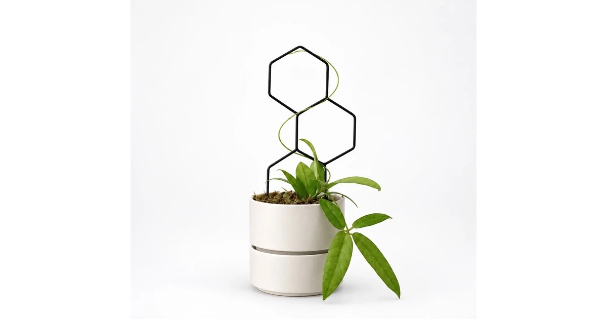 PLANTS POLE 