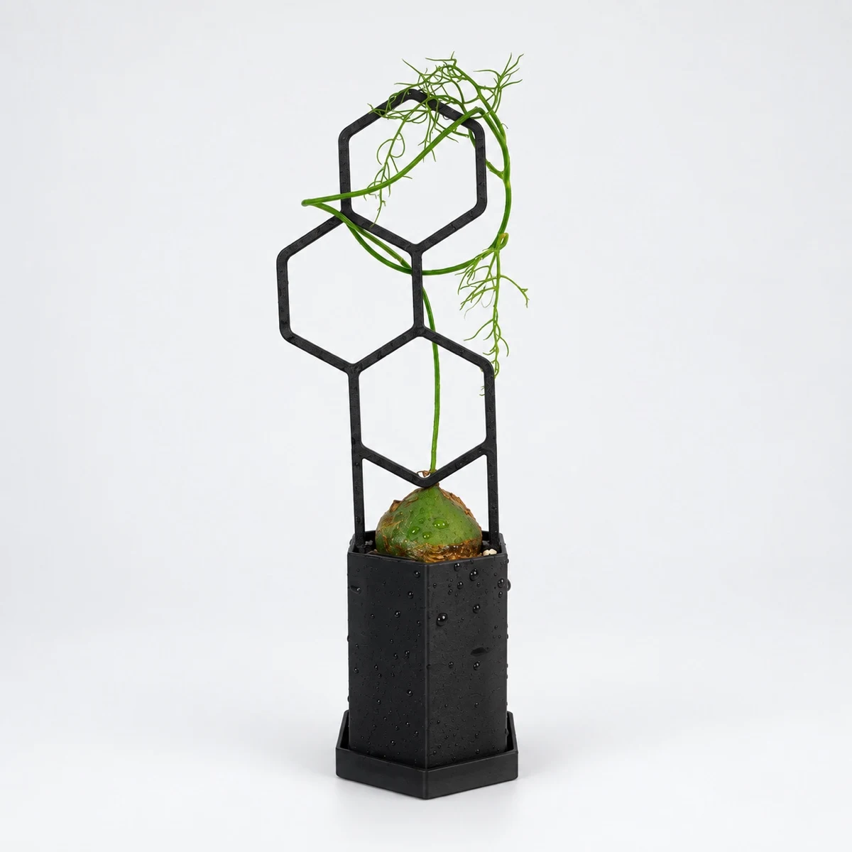 六角花瓶｜一輪挿しにも使える3Dプリントの花瓶｜ZUKE